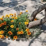 Rustic House Miketa - Family Summertime