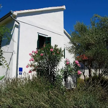 Rustic House Miketa - Family Summertime Tatil Evi *