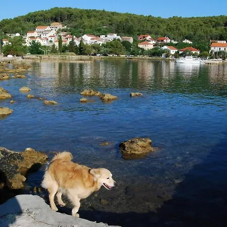 Tatil Evi Rustic House Miketa - Family Summertime